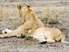 Masai Mara, Rift Valley, Kenya - Images (Photos) by Bibi Eng